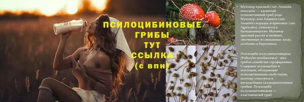 ALPHA PVP Михайловск