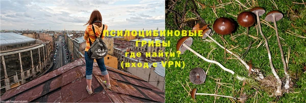 винт Михайлов