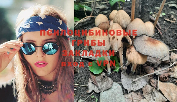 винт Михайлов