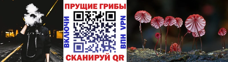 Псилоцибиновые грибы Magic Shrooms  Райчихинск 